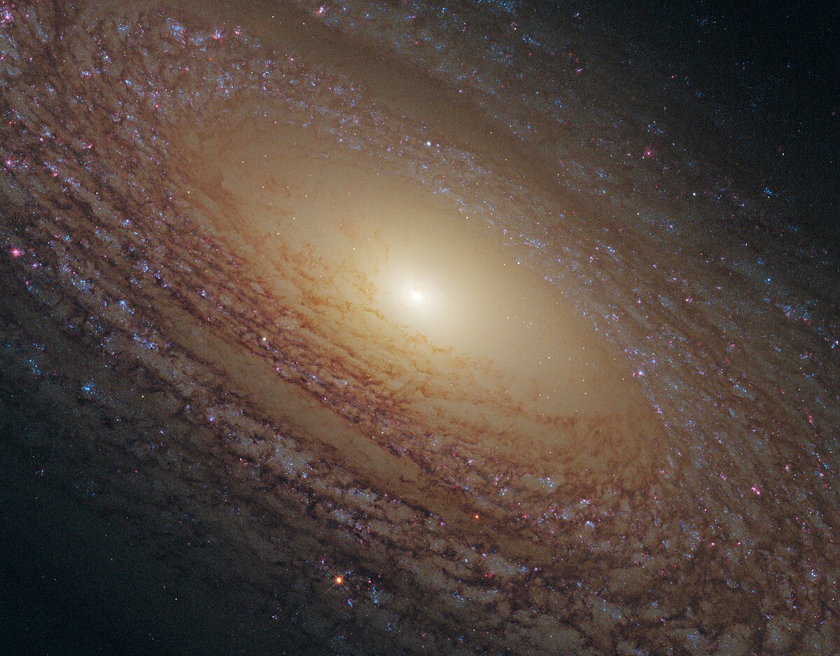 Ngc 2841 Wikipedia