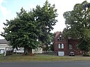 Natural monument Linde Zagelsdorf street to church 2019-08-04 (2) .jpg