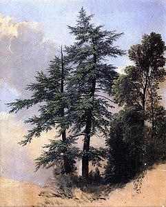 Tuwavaf vayaks, aal, Newburgh, 1849