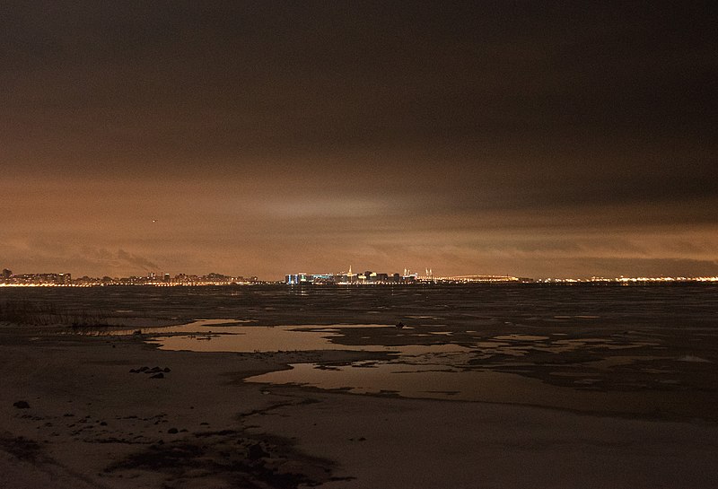 Neva Bay in winter 2021-01-01.jpg