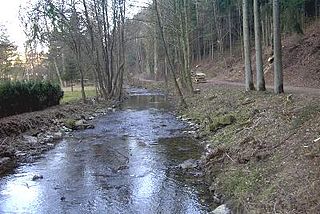 <span class="mw-page-title-main">Nims (river)</span> River in Germany