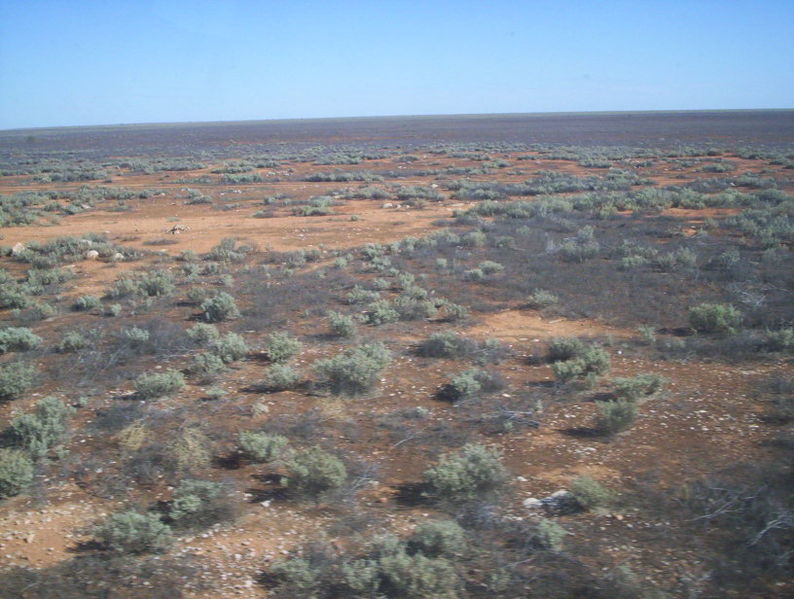 File:Nullabor plain from the indian pacific.jpg