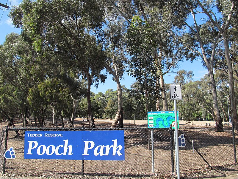 File:OIC flinders park pooch park.jpg