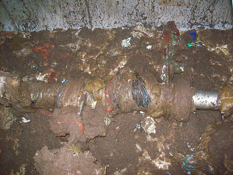 File:Organic waste, faeces and sawdust for thermal composting (3009779631).jpg