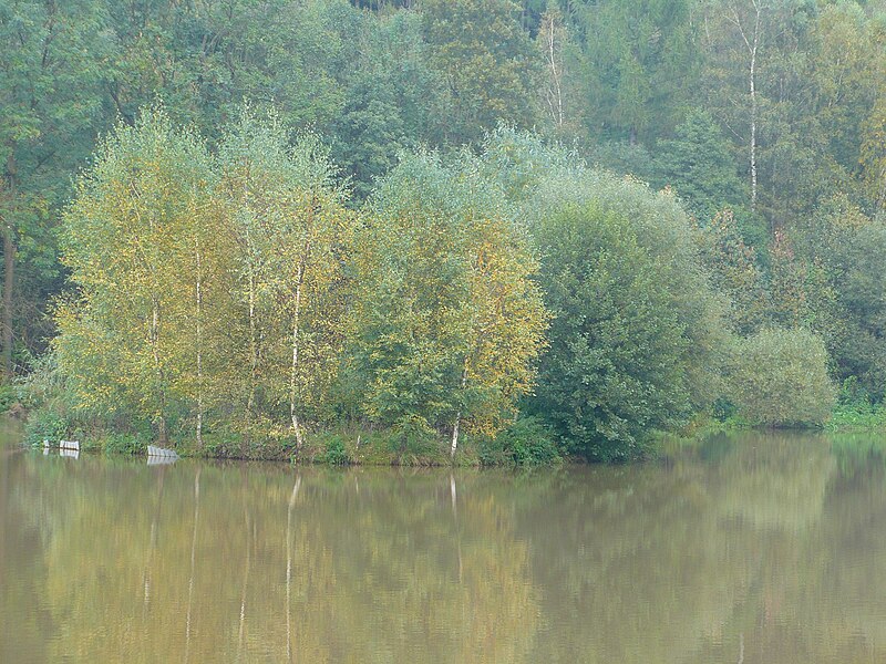 File:Ostrůvek na Panském rybníku v Horní Dobrouči.JPG