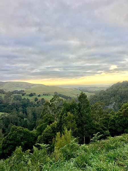 File:Otway national park.jpg