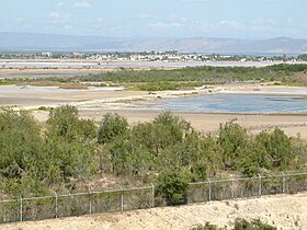 Clôture ouest. Salines sur le sol cubain