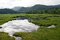 2011年7月6日 (水) 04:29時点における版のサムネイル