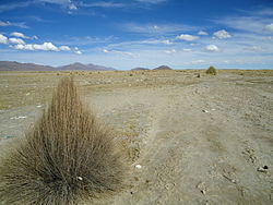 La catena montuosa Asanaki vista da Machaqa Marka con Qurimina, Pepitu (4.478 m) e Wila Ch'ankha a sinistra e l'isola Iswaya (3.879 m) (situata nel fiume Desaguadero) al centro dell'immagine.