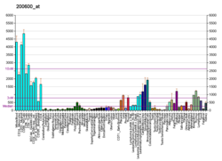 PBB GE MSN 200600 در fs.png