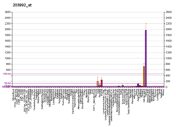 PBB GE WFDC2 203892 at fs.png