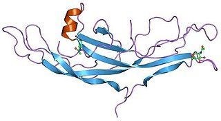 <span class="mw-page-title-main">Cystine knot</span> Protein structural motif