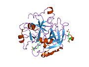 PDB 1ktt EBI.jpg