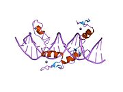 PDB 1ubd EBI.jpg