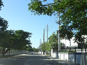 PR-500, km 0, viajando al sur, inmediatamente al sur de la PR-132, Barrio Canas, Ponce, Puerto Rico (DSC04443).jpg