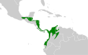 Pachyramphus cinnamomeus map.svg