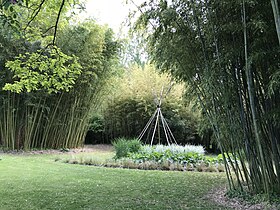 Illustrasjonsbilde av artikkelen Parc aux Bambous