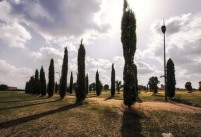 Come arrivare a Parco archeologico di Centocelle con i mezzi pubblici - Informazioni sul luogo