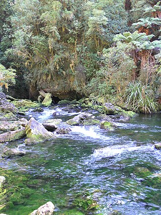 <span class="mw-page-title-main">Pearse River</span> River in New Zealand