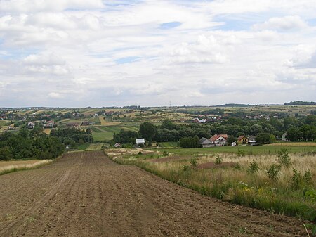 Pekowice Dolina Pradnika 2