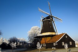 Windmill in Rijssen