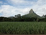 Piton de la Petite Rivière Noire