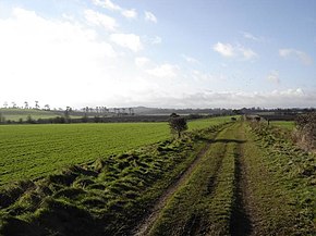 Um remanescente de Port Way perto da Palestina em Hampshire