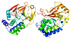 Ақуыз PPP1CC PDB 1fjm.png