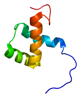 <span class="mw-page-title-main">ZEB1</span> Protein-coding gene in the species Homo sapiens