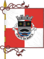 Bandeira de Ponte da Barca