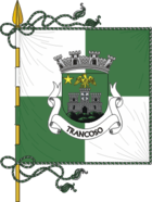 Flag of Trancoso