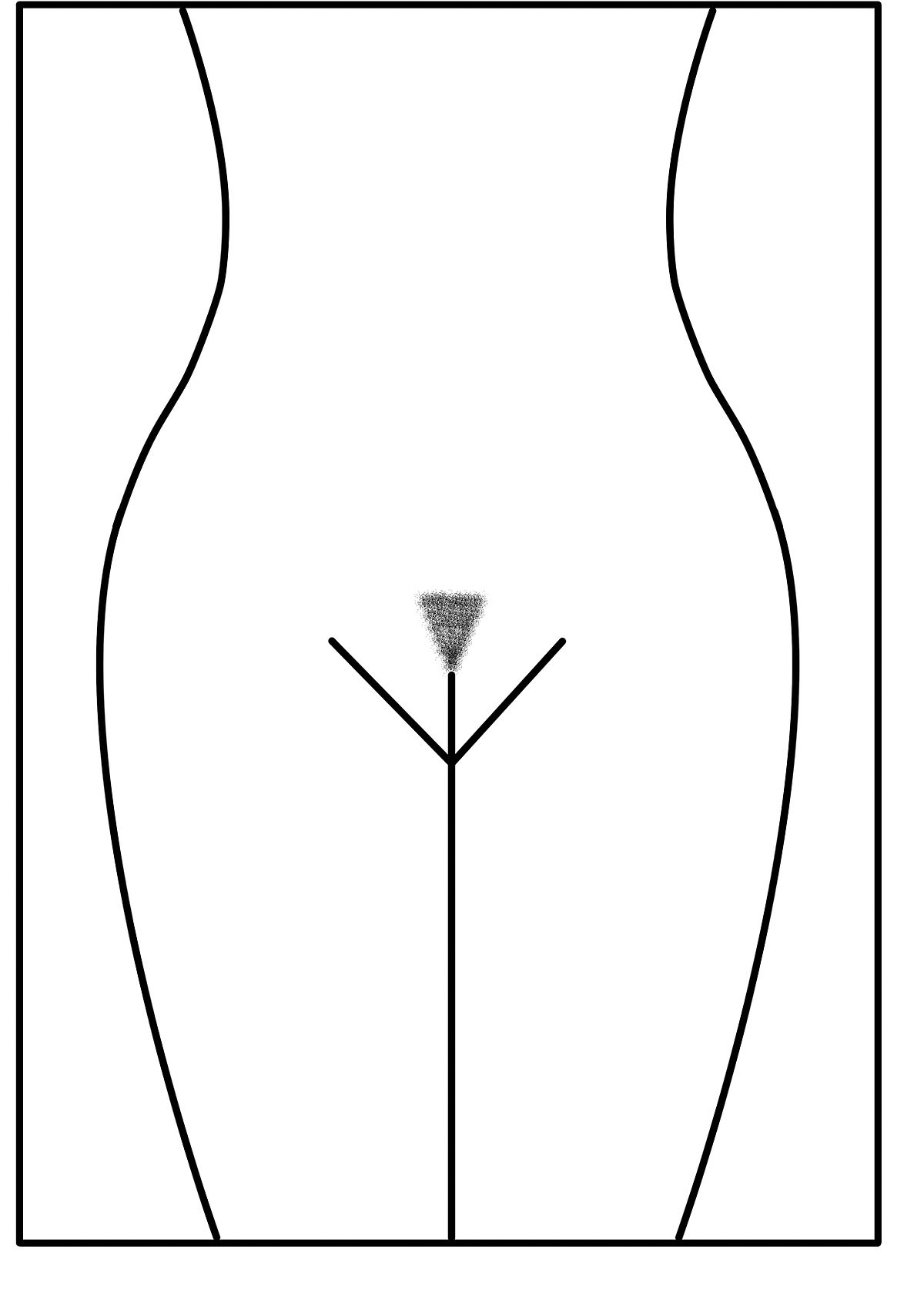 female pubis hair