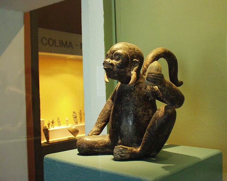 File:Puebla - Museo Amparo - Singe, classique, états théocratiques, influence du style Remojadas, Totonala.JPG