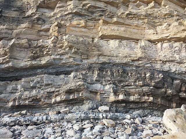 Strata of the Purbeck Group in Durlston Bay, Dorset