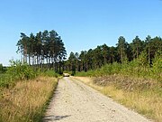 Droga z Wypalenisk do Łążyna