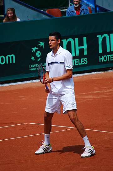 Victor Hănescu