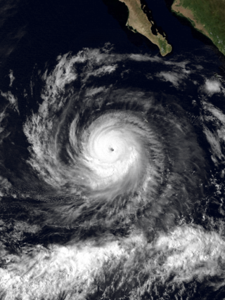 <span class="mw-page-title-main">Hurricane Raymond (1989)</span> Category 4 Pacific hurricane in 1989