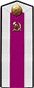 Puna-armeijan kadettikorkeakoulu 1943 shoulder straps.jpg