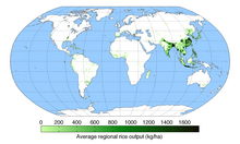 Worldwide rice production RiceYield.png