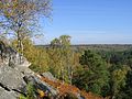 Vignette pour Forêt de Fontainebleau