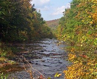 Rondout Creek River in New York, United States