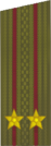 погоны 1969