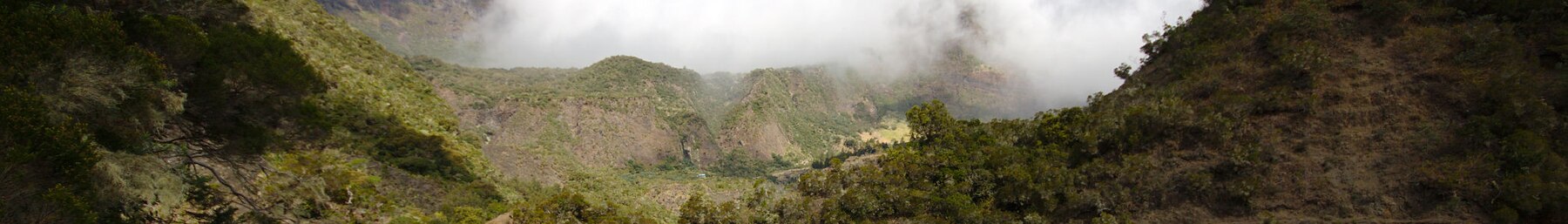 Renerion pasica Mountain scenery3.jpg