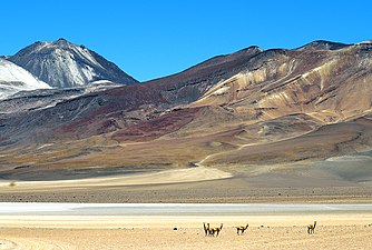 "Río_Blanco_+_Sairecabur_2.jpg" by User:LBM1948