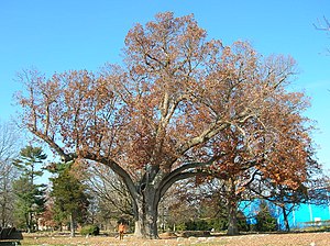 List Of New Jersey State Parks