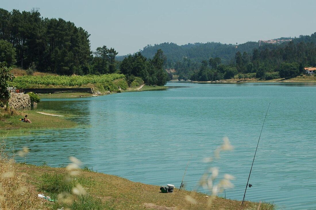 Dão River