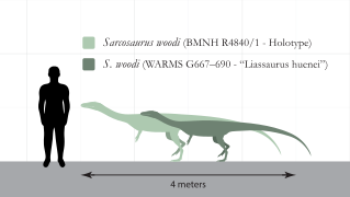 Sarcosaurus