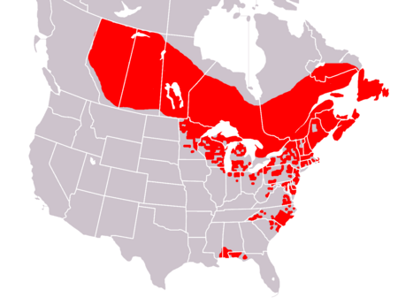 Sarracenia purpurea range.png