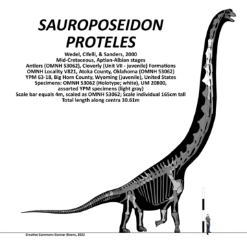 Sauroposeidon