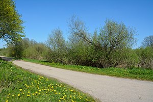 Schleswig-Holstein, Heide, Ostroher-Süderholmer Moor NIK 0097.JPG